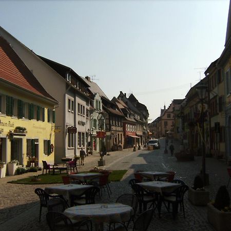 Tiptop Hotel Garni Pfauen Endingen am Kaiserstuhl Dış mekan fotoğraf