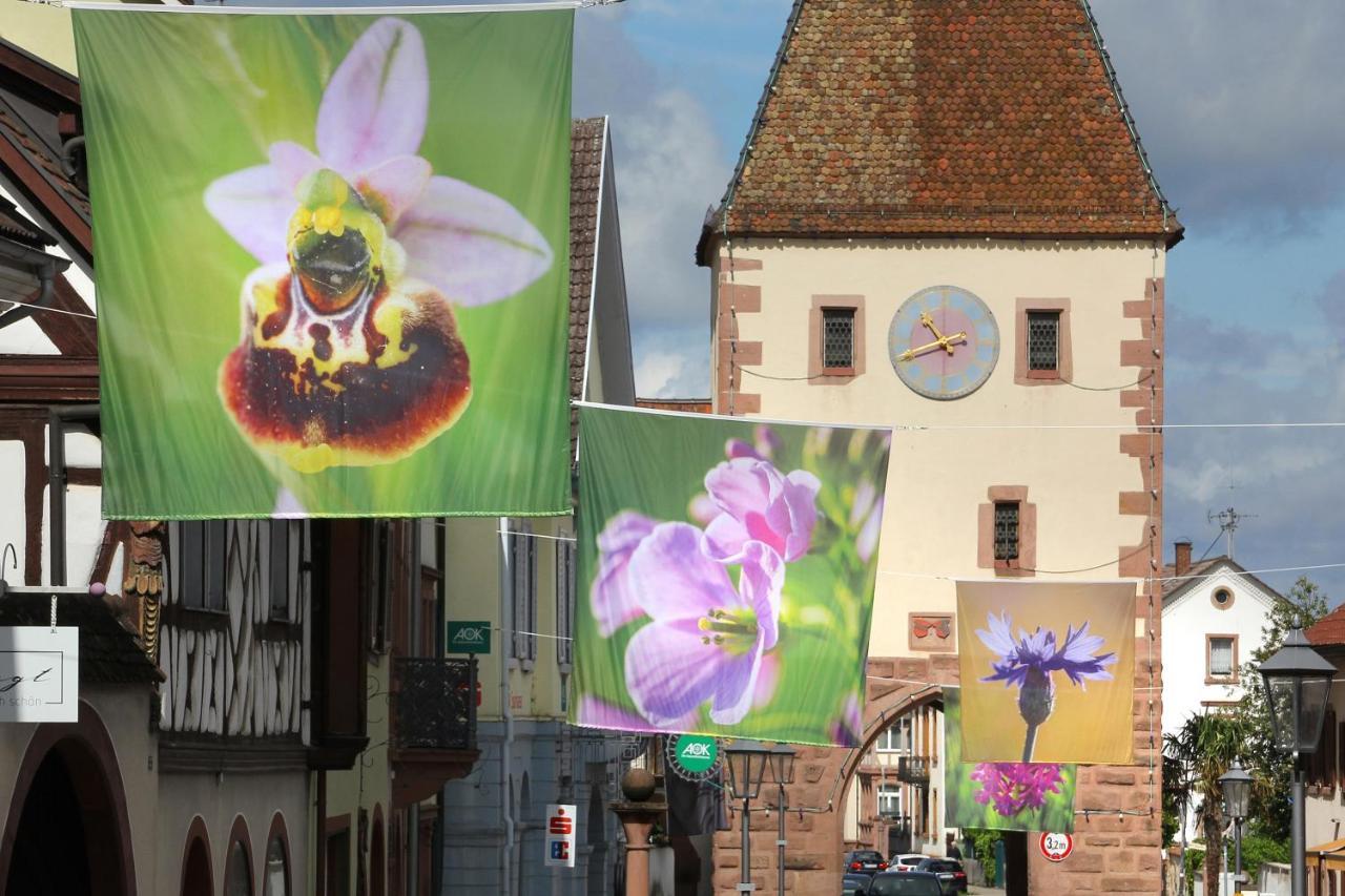 Tiptop Hotel Garni Pfauen Endingen am Kaiserstuhl Dış mekan fotoğraf