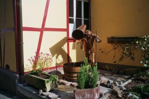 Tiptop Hotel Garni Pfauen Endingen am Kaiserstuhl Dış mekan fotoğraf