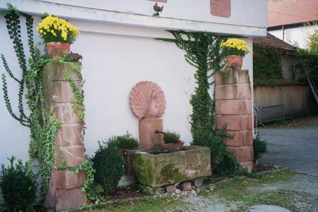 Tiptop Hotel Garni Pfauen Endingen am Kaiserstuhl Dış mekan fotoğraf