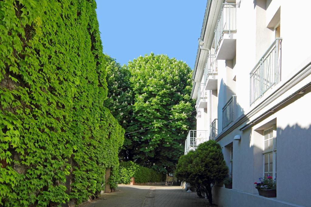 Tiptop Hotel Garni Pfauen Endingen am Kaiserstuhl Dış mekan fotoğraf
